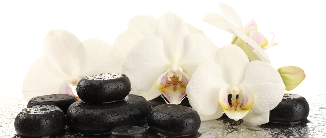 Three Lotus Massage and Wellness in Buffalo NY